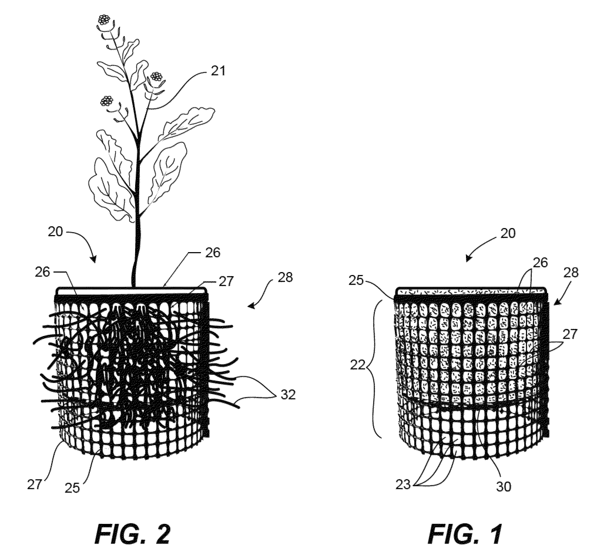 Plant container assembly and method