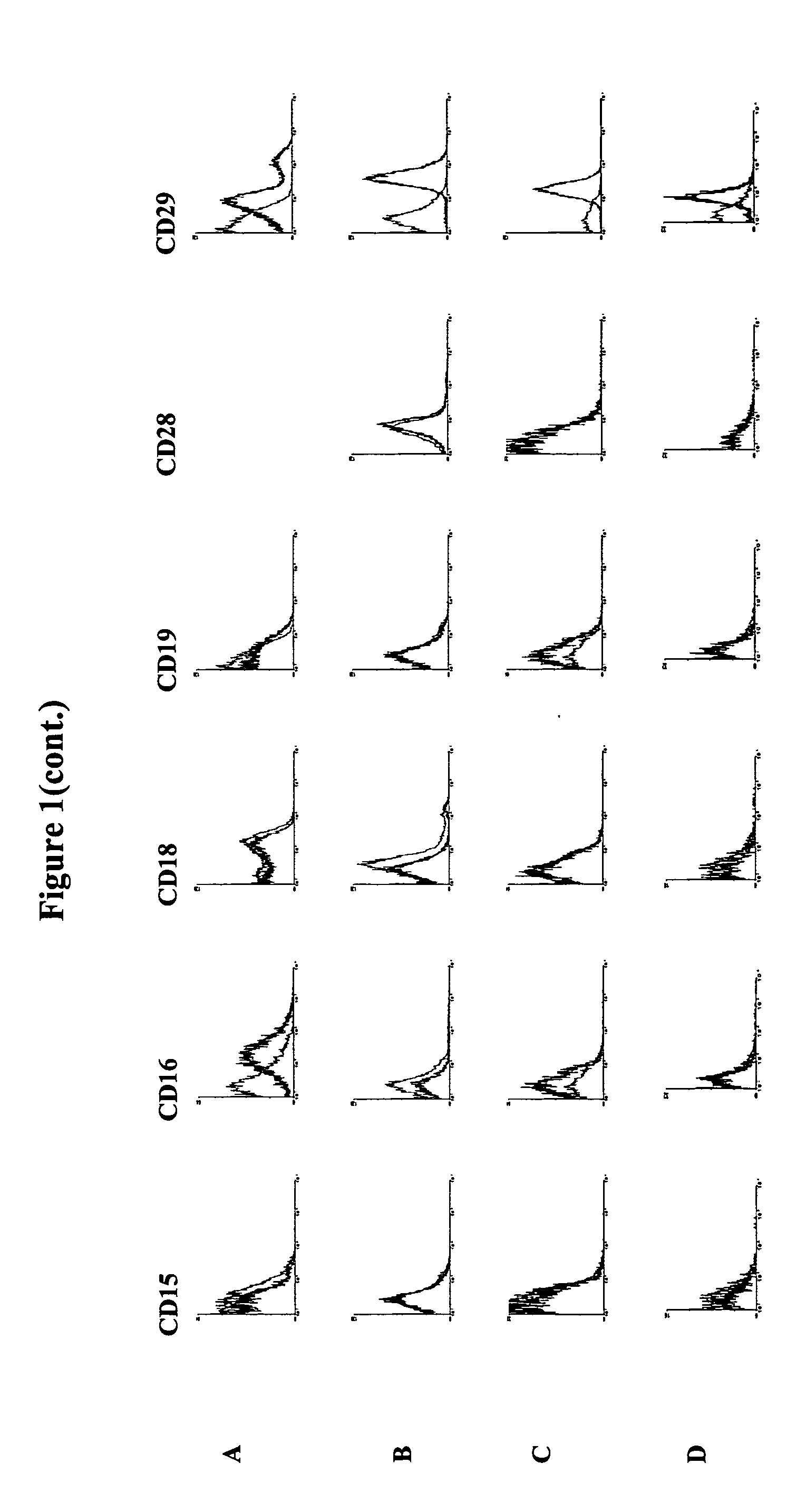 Identification and isolation of multipotent cells from non-osteochondral mesenchymal tissue