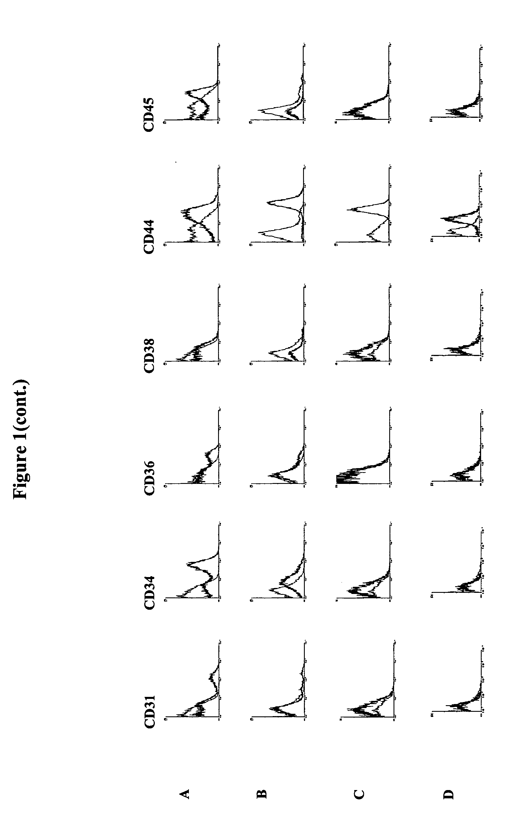 Identification and isolation of multipotent cells from non-osteochondral mesenchymal tissue