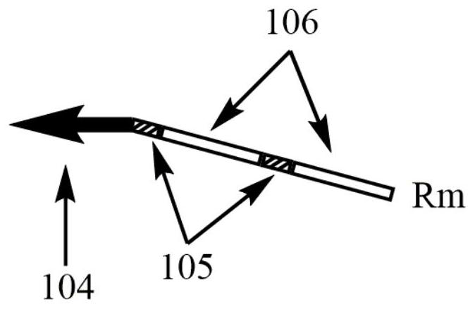 A kind of multiple pcr amplification method