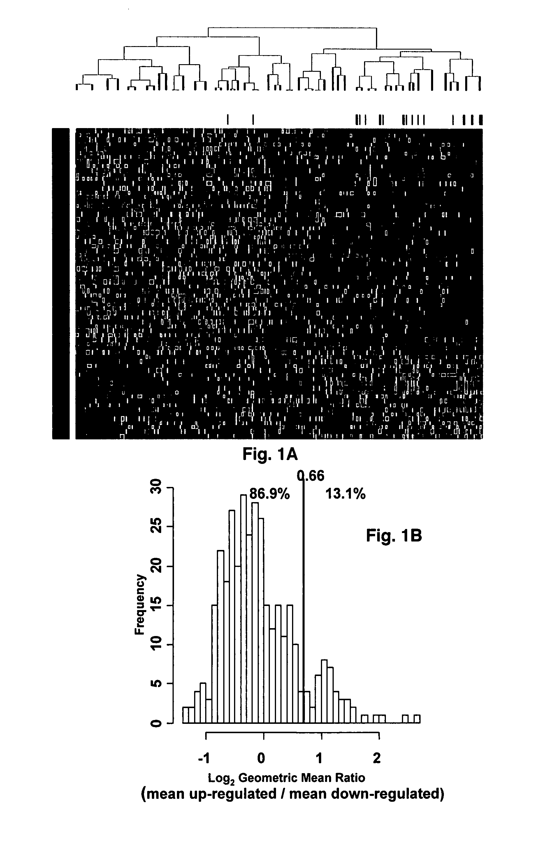 Gene expression profiling based identification of genomic signature of high-risk multiple myeloma and uses thereof