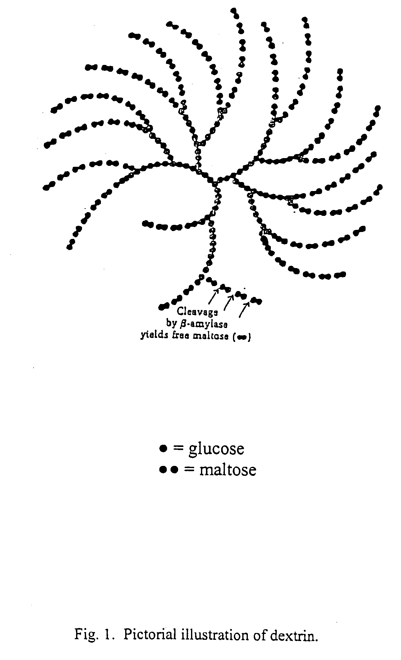 Antiviral composition