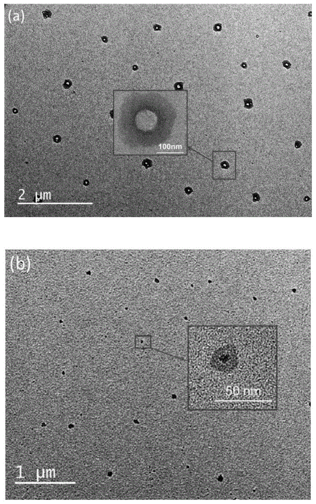 Fluorine-containing high dielectric polynorbornene-poly(1,6-heptadiyne) block copolymer and preparation method thereof