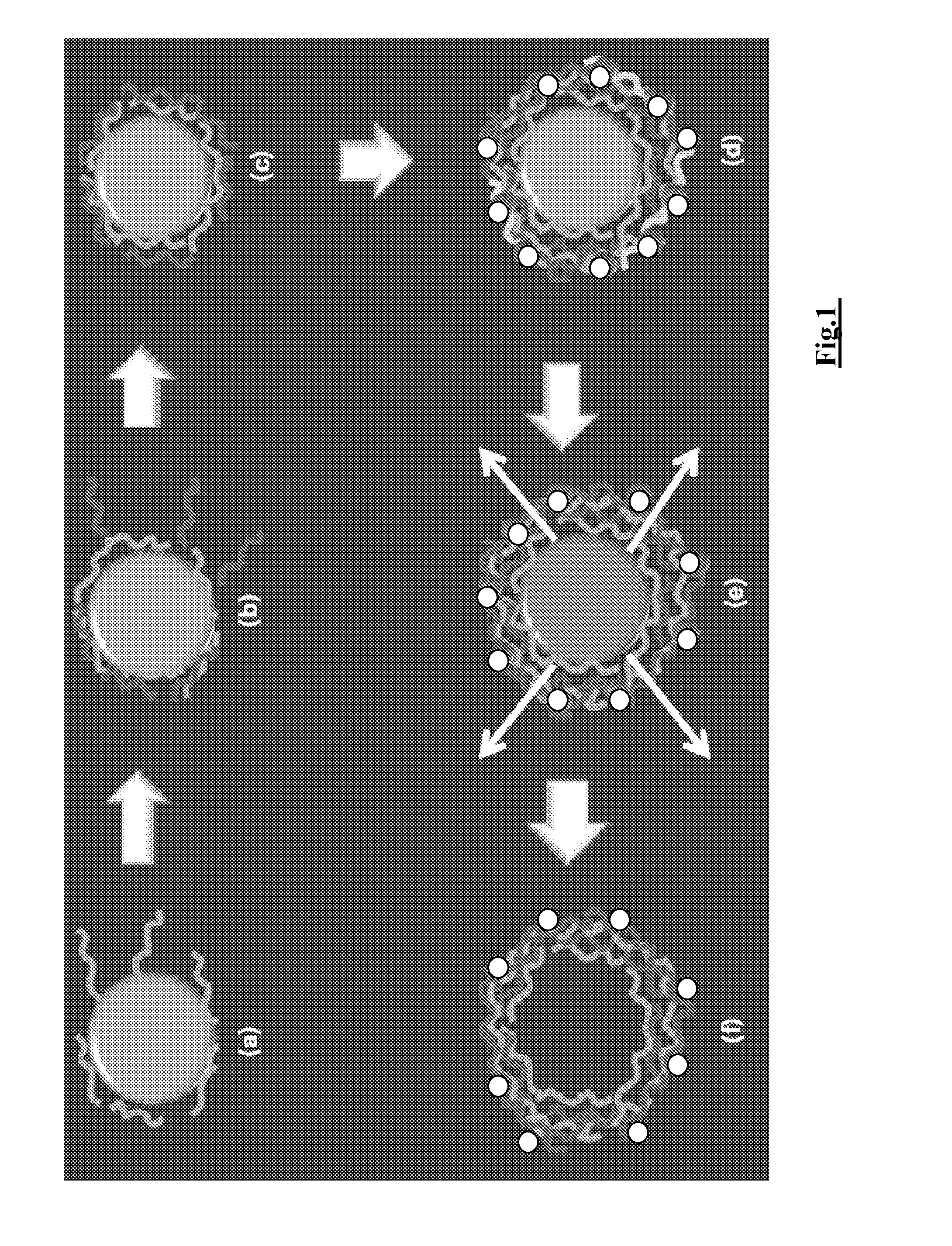 Sonosensitive nanoparticles