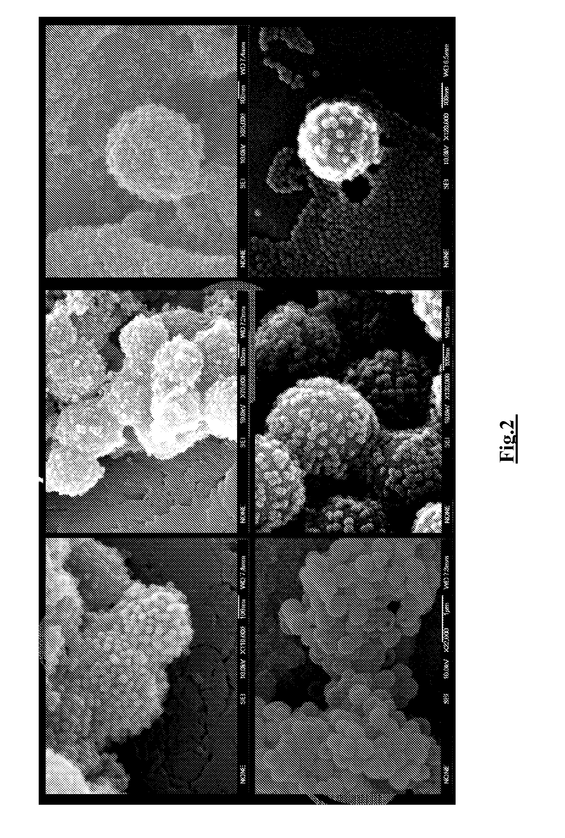 Sonosensitive nanoparticles