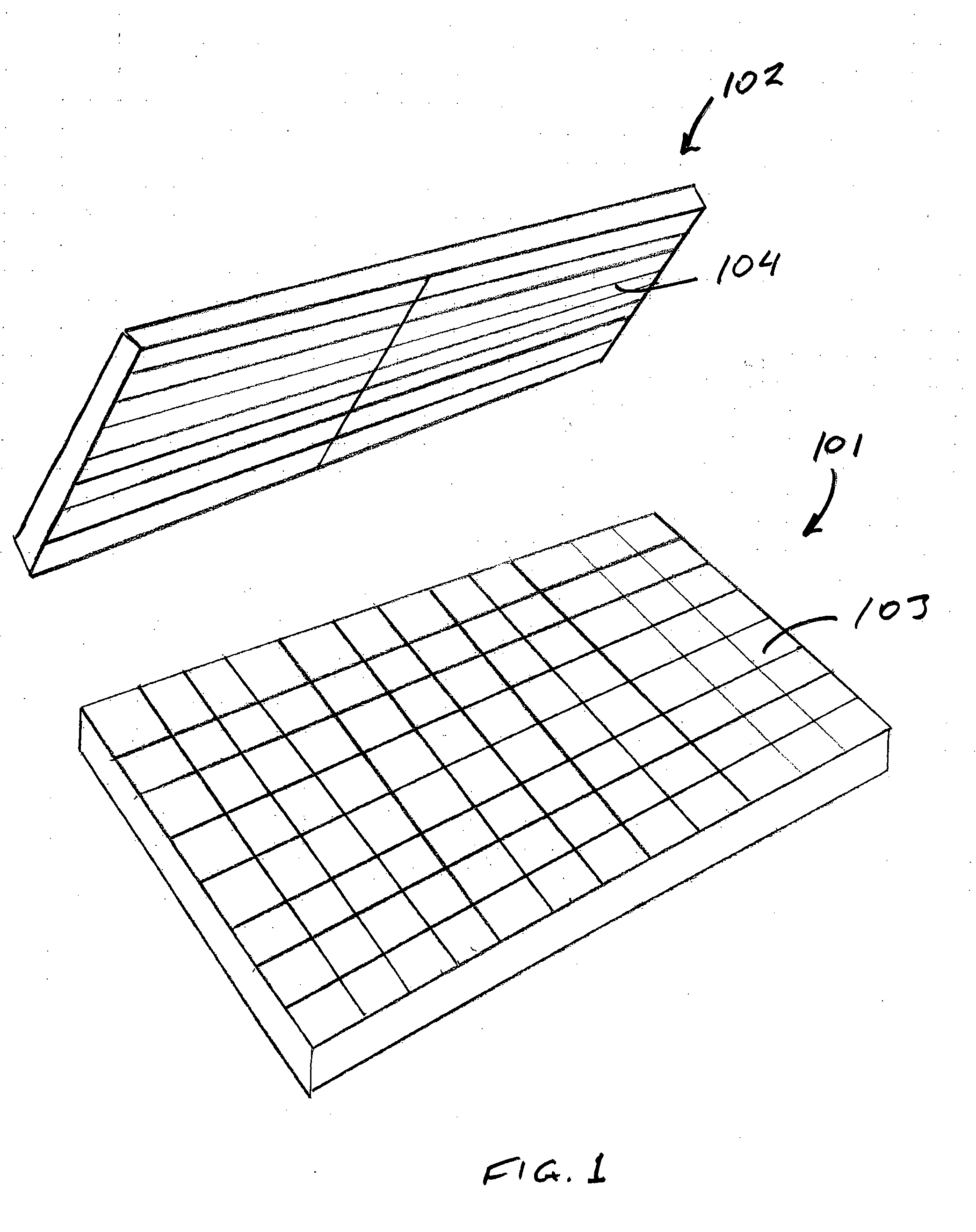 Apparatus for High-Throughput Electroporation