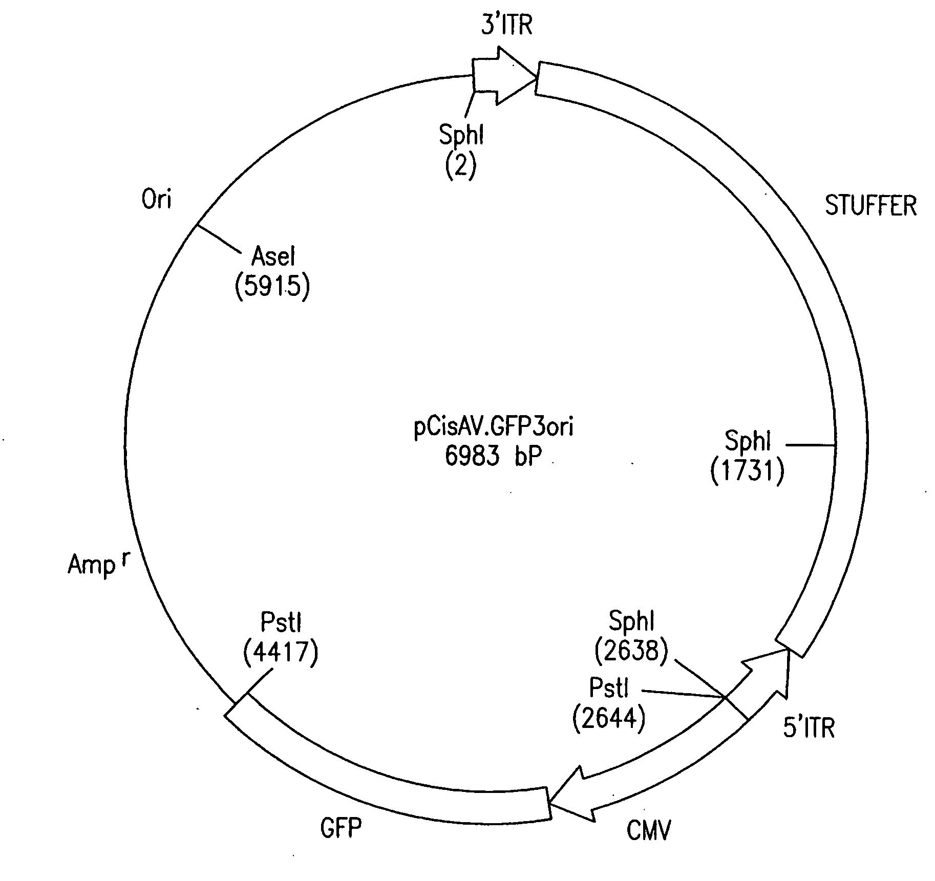 Adeno-associated viruses and uses thereof