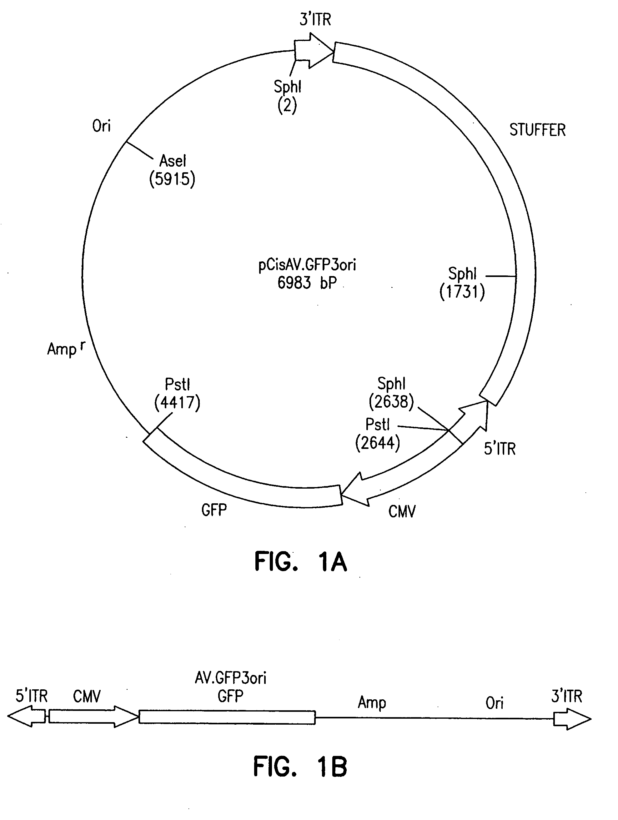 Adeno-associated viruses and uses thereof