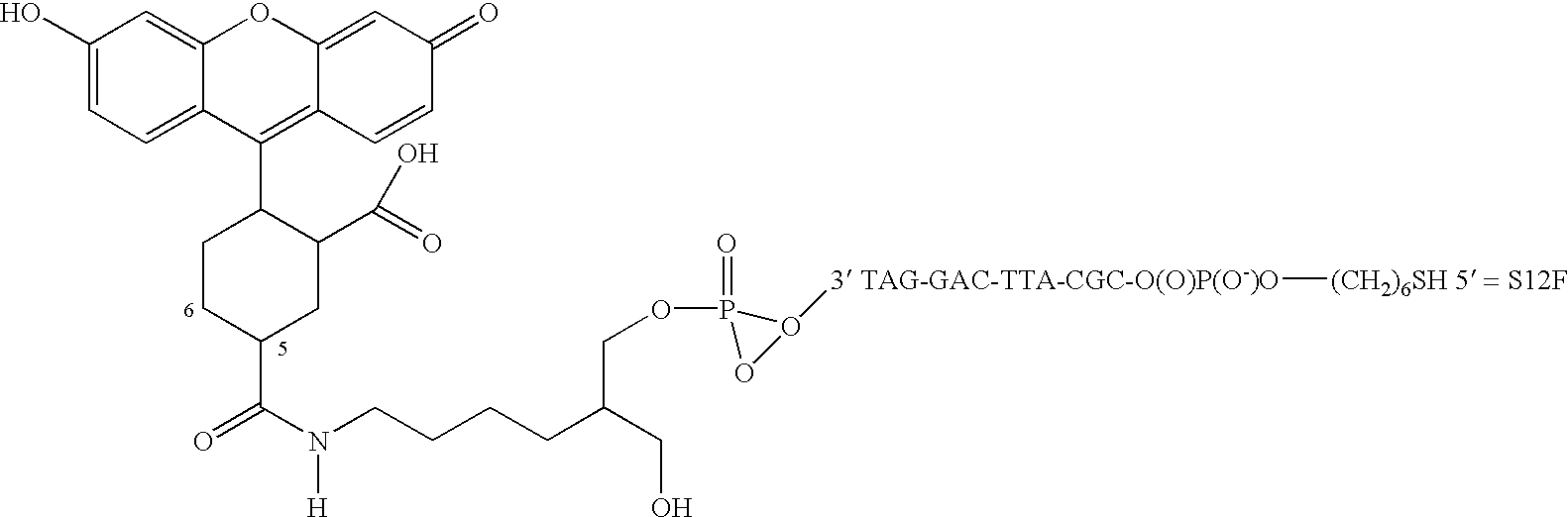 Nanoparticles having oligonucleotides attached thereto and uses therefor