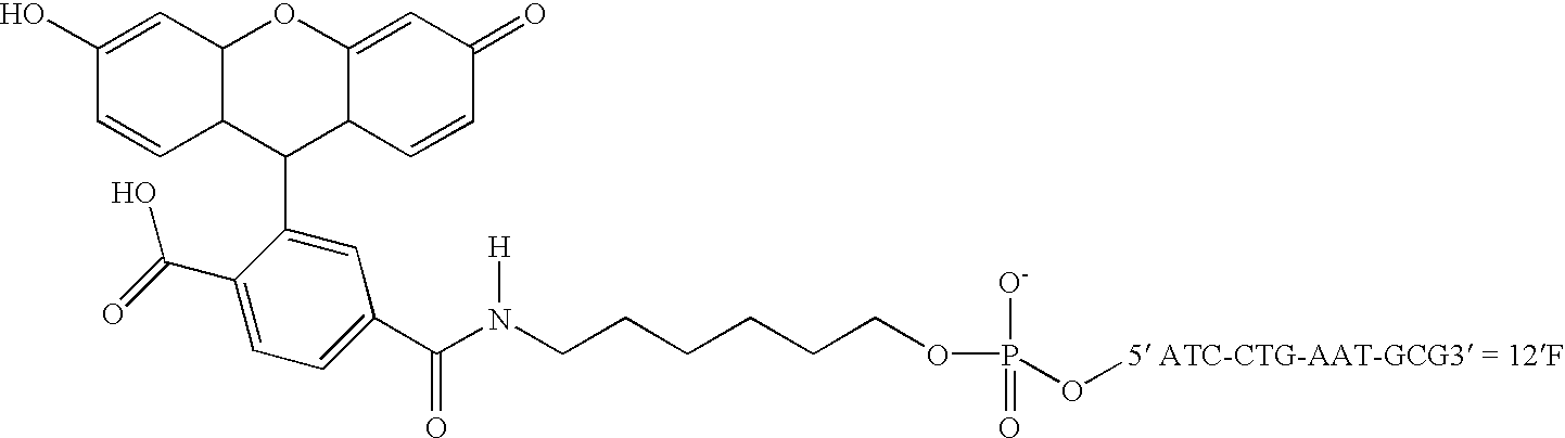 Nanoparticles having oligonucleotides attached thereto and uses therefor