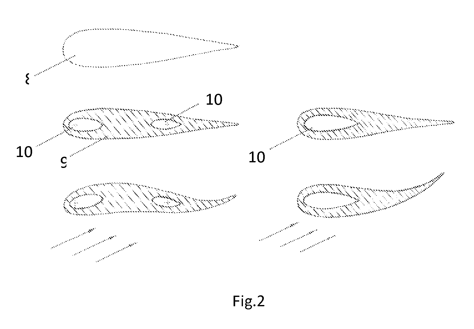 Two fin swimming apparatus