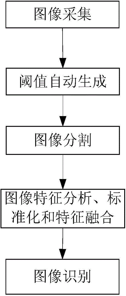 Automatic identification method of foliar disease image of greenhouse vegetable