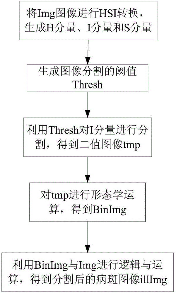 Automatic identification method of foliar disease image of greenhouse vegetable