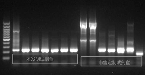 Primer pool, kit and method for detecting bloodstream infection by targeting sequencing method