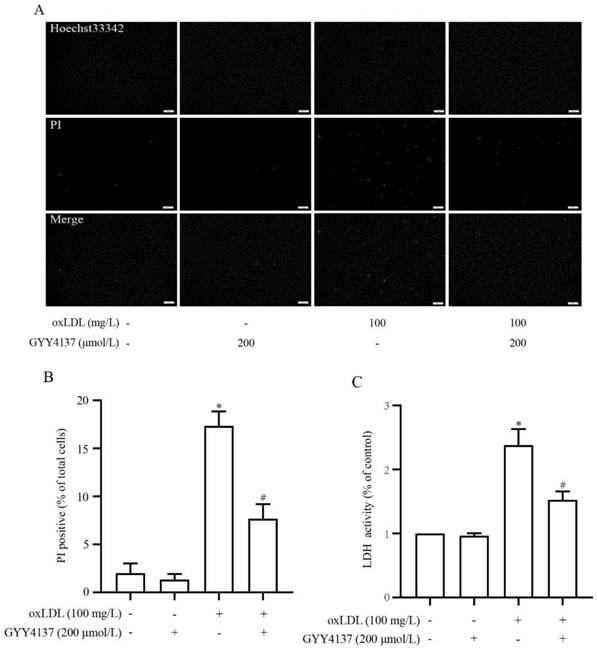 Application of GYY4137 in preparation of drugs for inhibiting pyroptosis of vascular endothelial cells