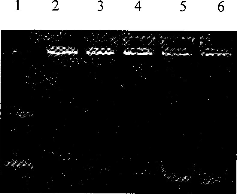 Polymethacrylate, preparation method and application thereof