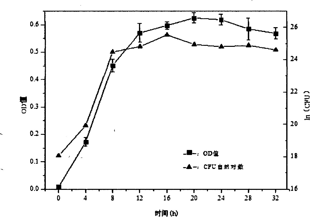 Novel seawater fermentation strain generating biosurfactant