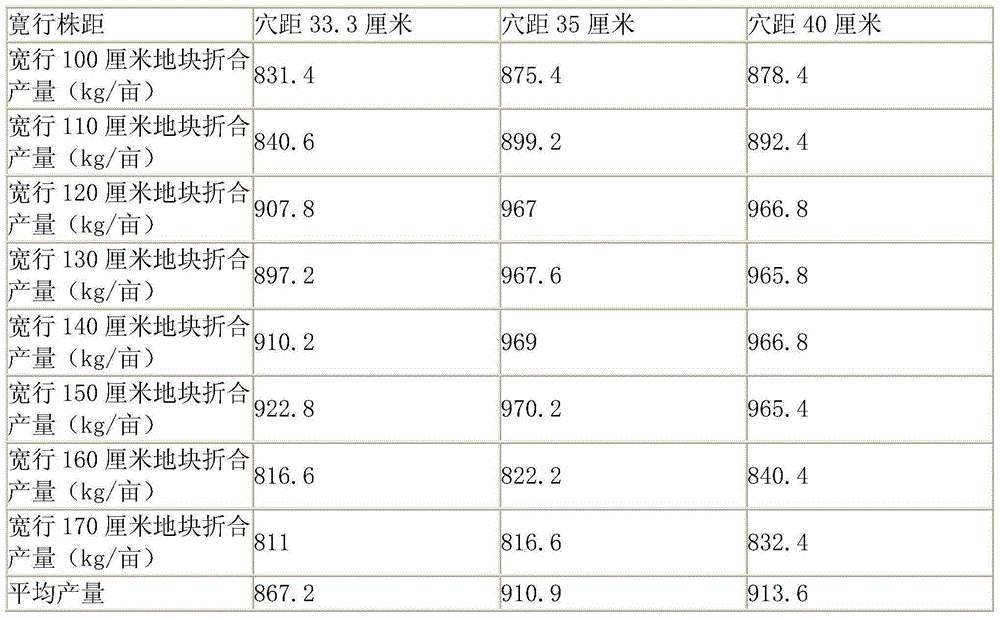 High-yield maize planting method