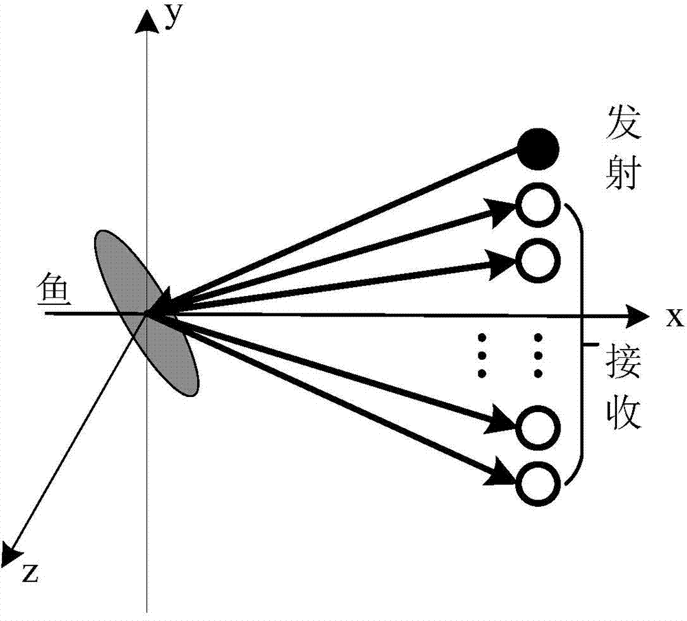 Fish identification method with multi-feature and multidirectional data fused