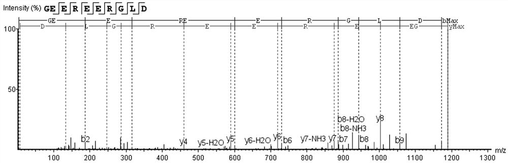 Walnut peptide as well as preparation method and application thereof