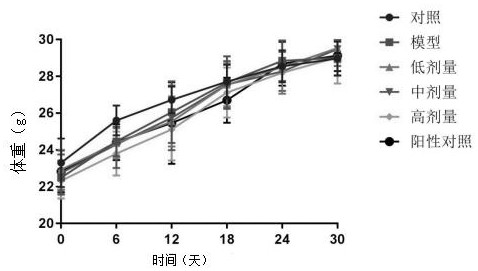 Walnut peptide as well as preparation method and application thereof