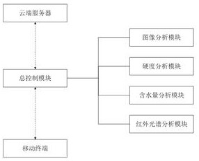 A food quality analysis and detection device