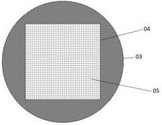 A food quality analysis and detection device