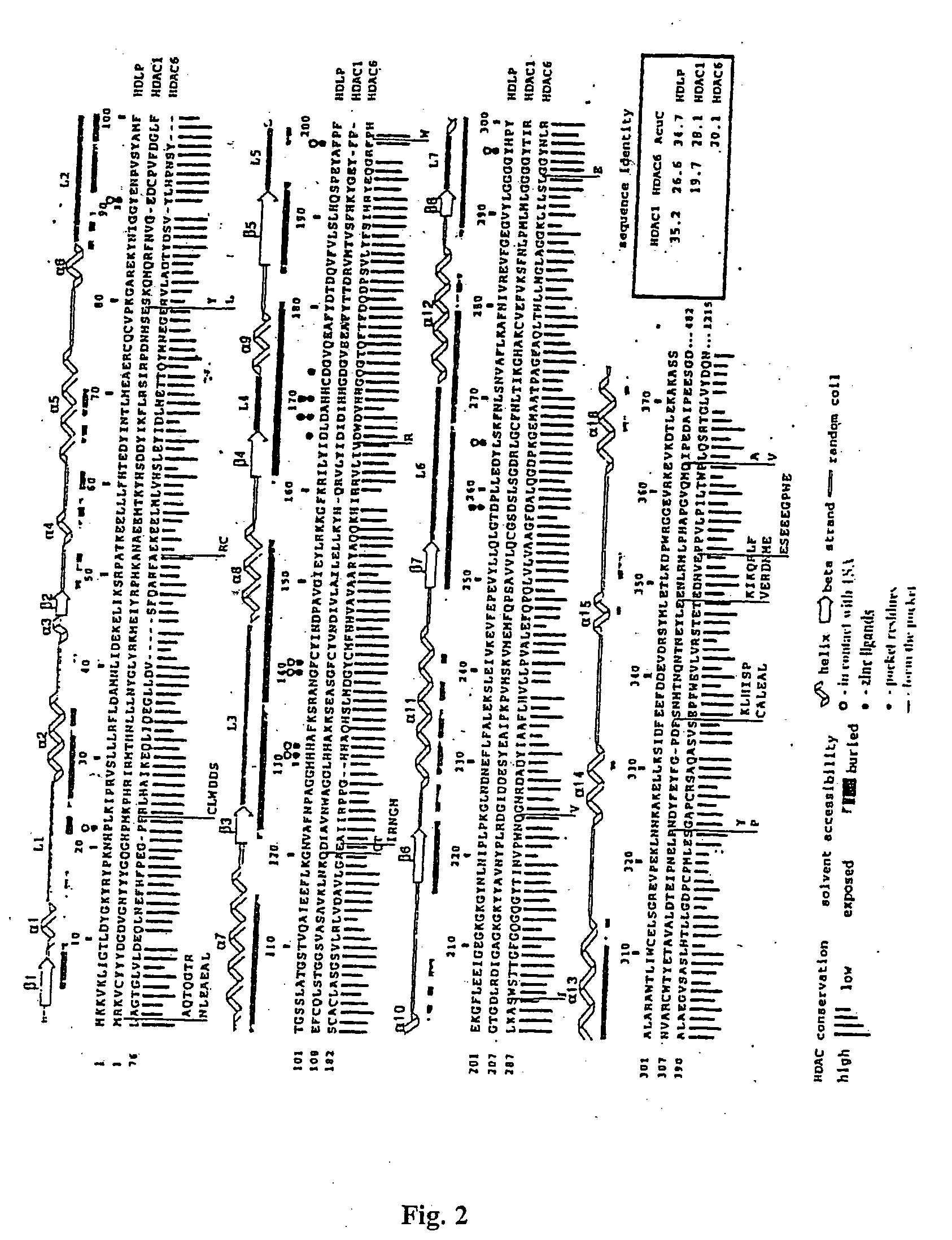 Crystal structure of a deacetylase and inhibitors thereof