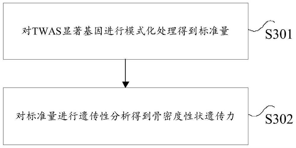 Method and device for analyzing heritability of bone density traits