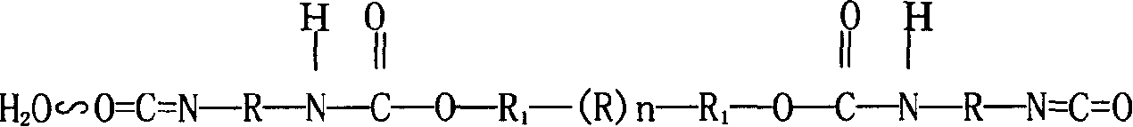 Polysiloxane-polyether copolymer modified aqueous polyurethane preparation method