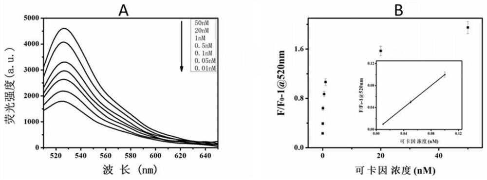 A method for detecting cocaine based on polycytosine-based nucleic acid aptamers