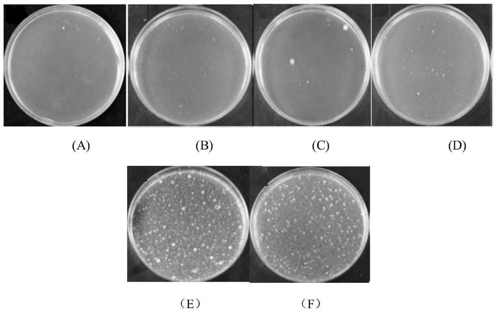 Preparation method of durably antibacterial air-jet vortex spun covering yarn