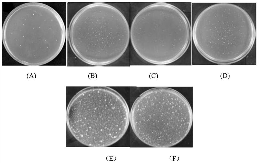 Preparation method of durably antibacterial air-jet vortex spun covering yarn