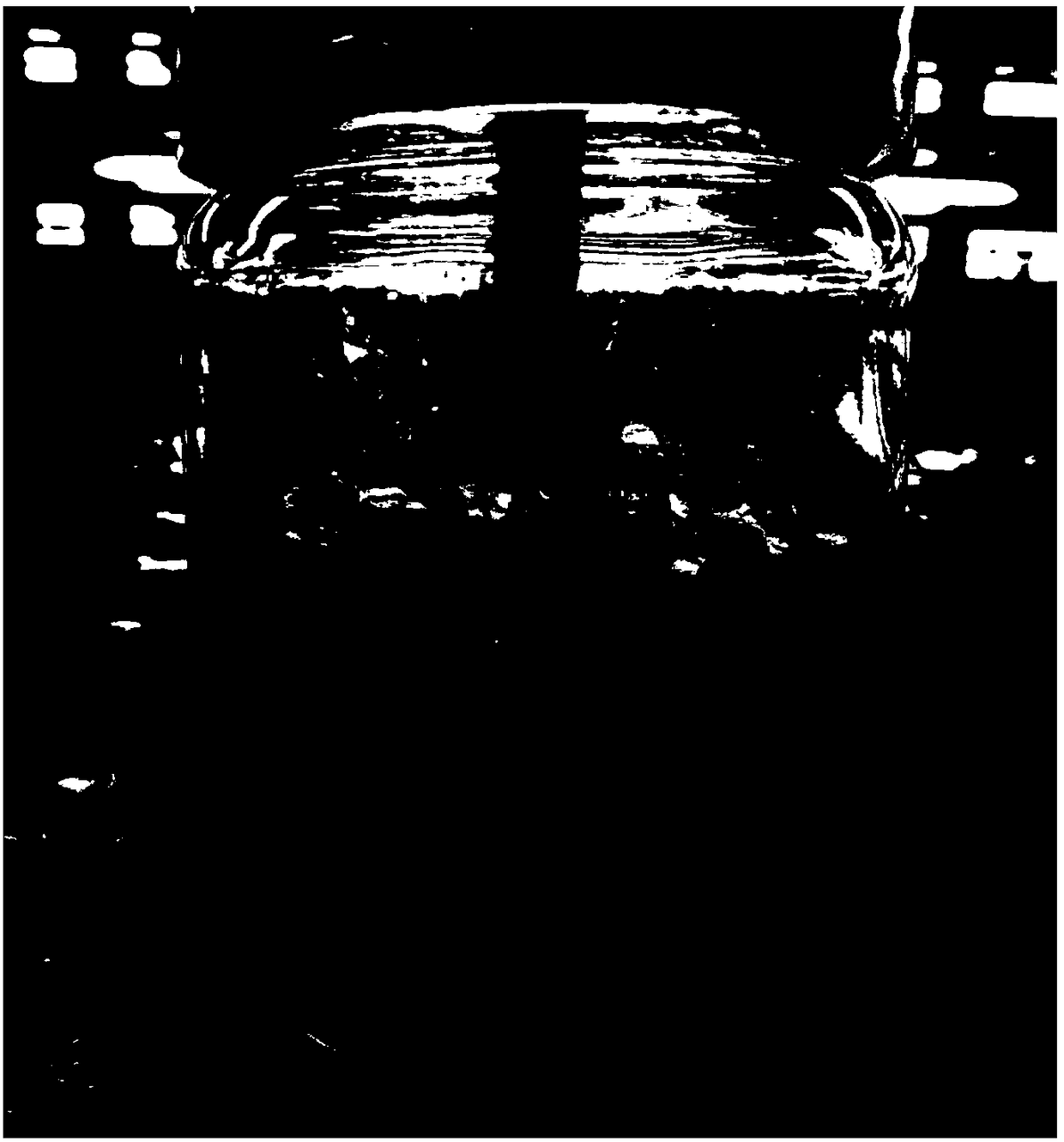 Method for rapidly propagating radix pseudostellariae seedlings