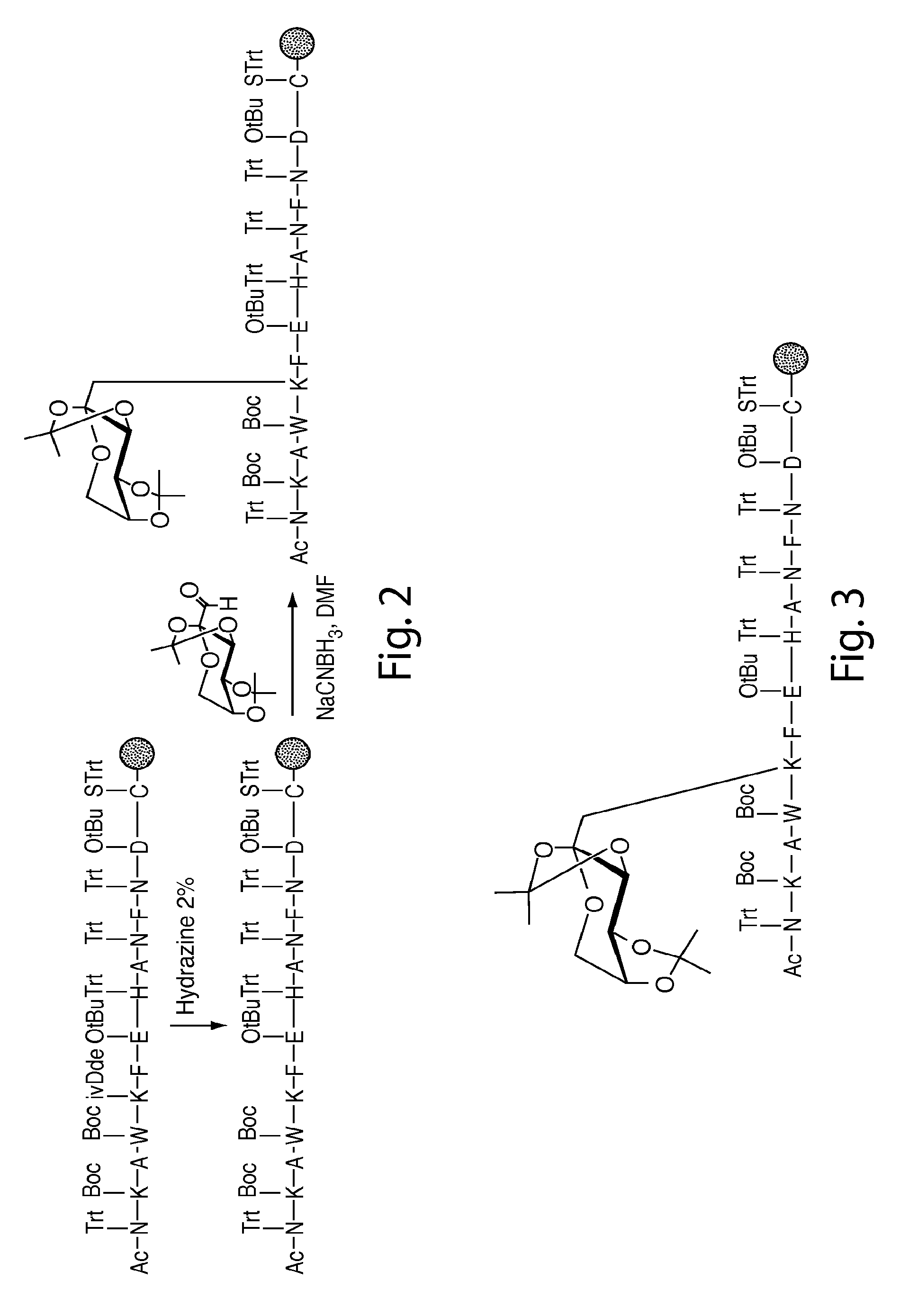 Glycated cd59 peptides, their preparation, and uses thereof