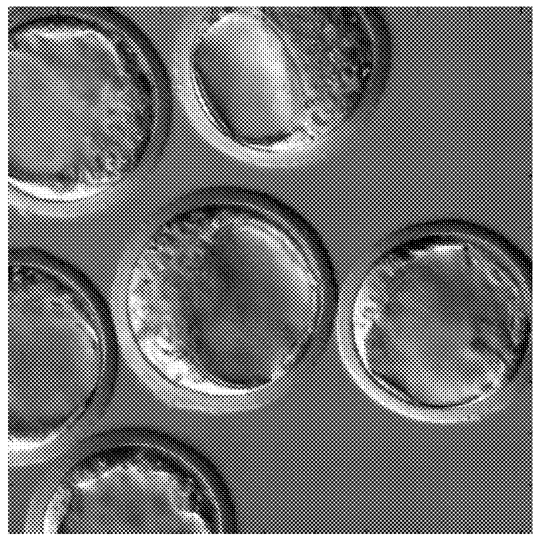 Host cells with artificial endosymbionts