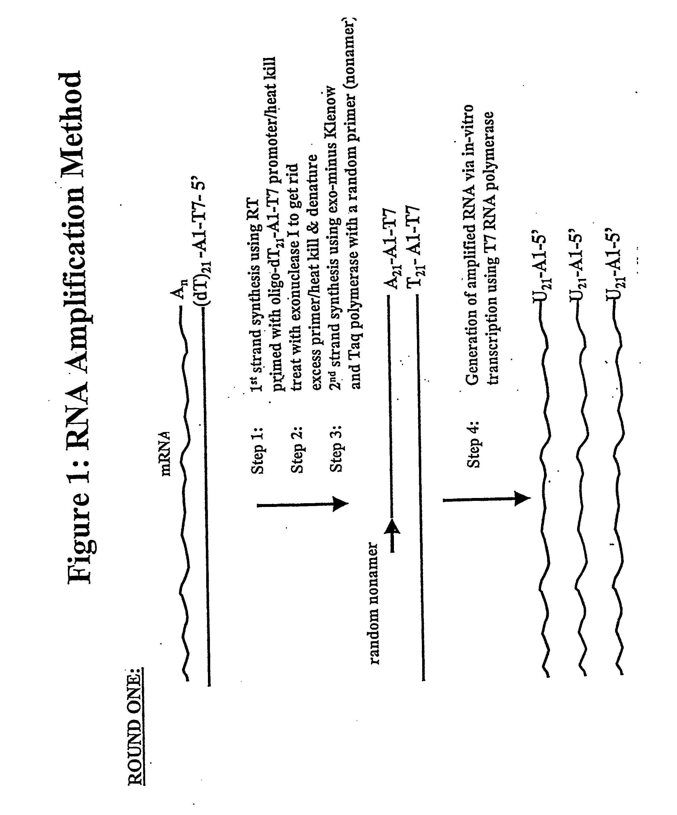 Nucleic acid amplification