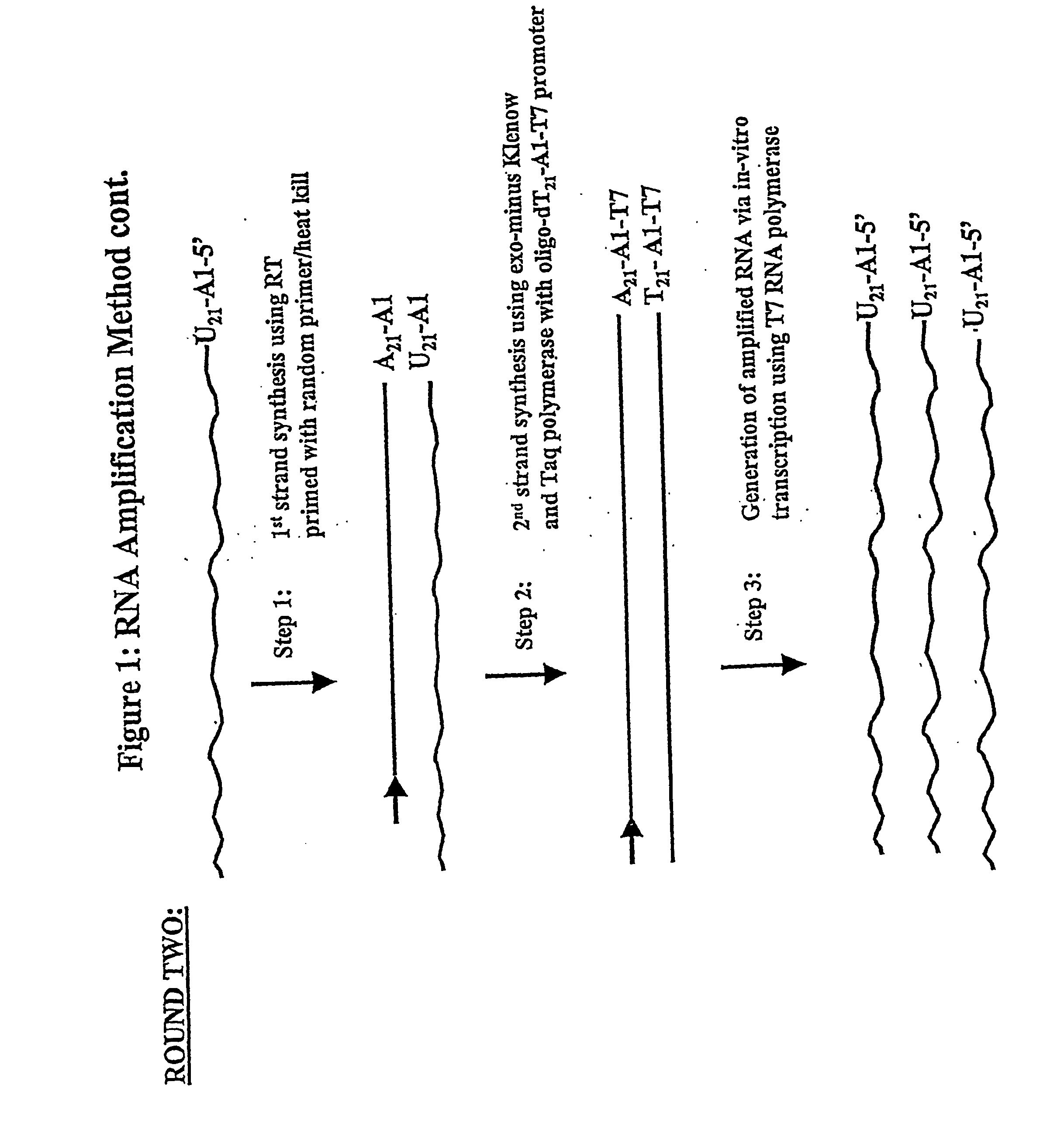 Nucleic acid amplification