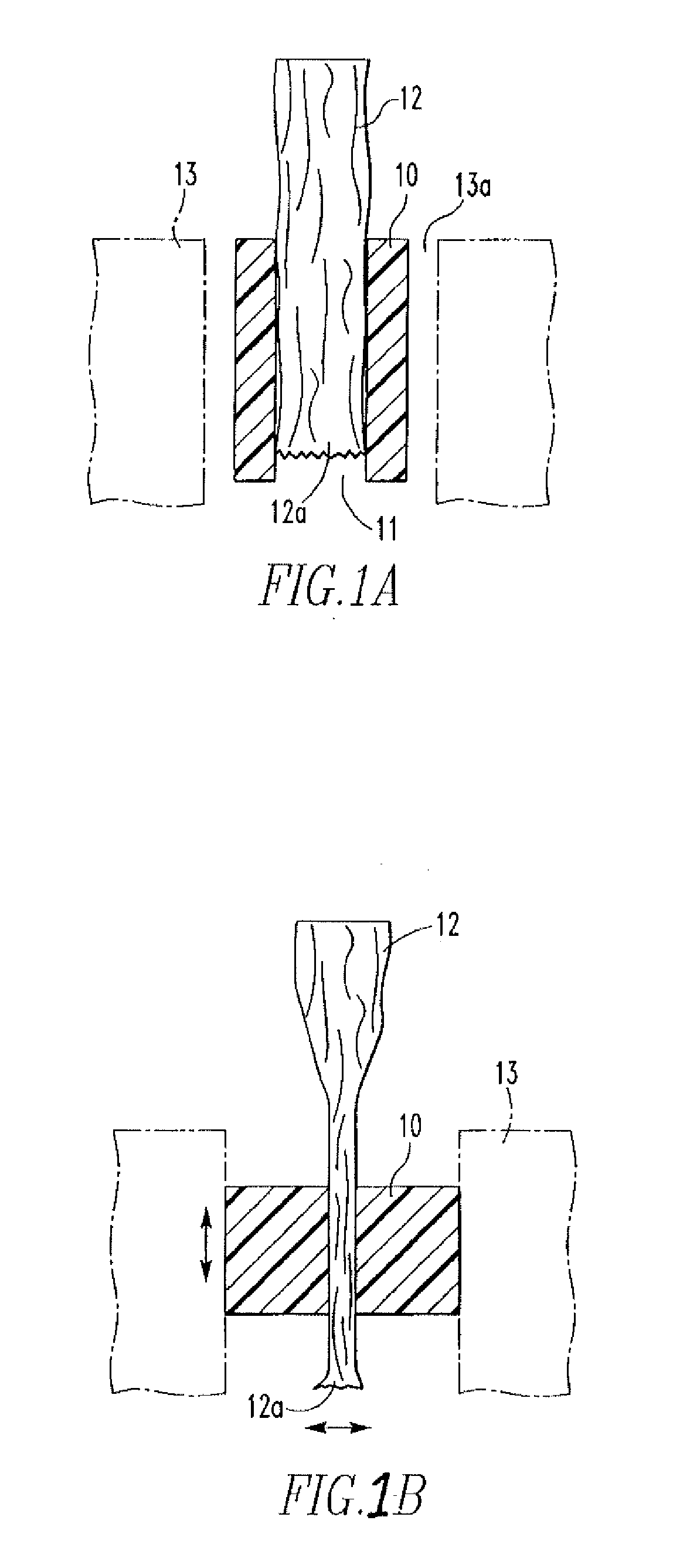 Graft Fixation