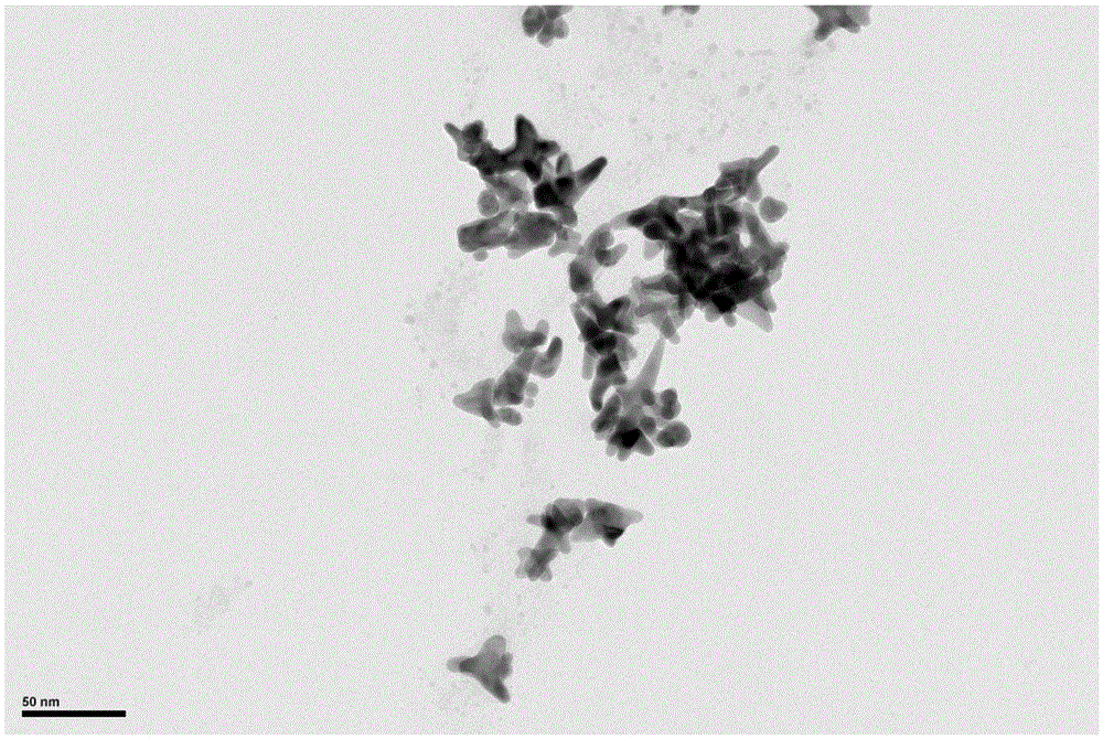 Simple small-size gold nanoparticle star with regulatable branch lengths and preparing method of gold nanoparticle star