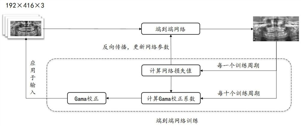 A Computer Aided Dental Age Analysis Method Based on Neural Network