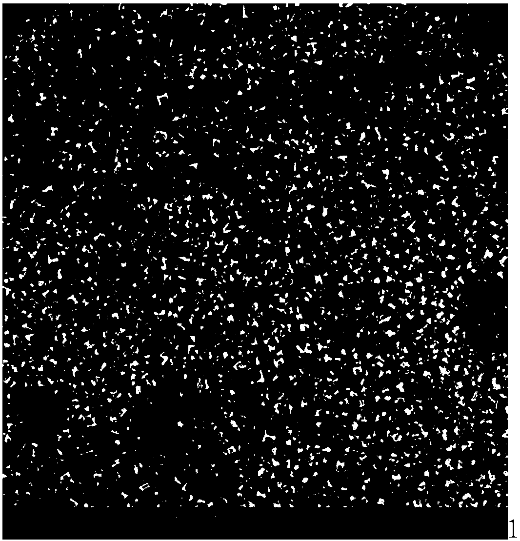 Method for preparing corrosion prevention coating with titanium in blast furnace slag