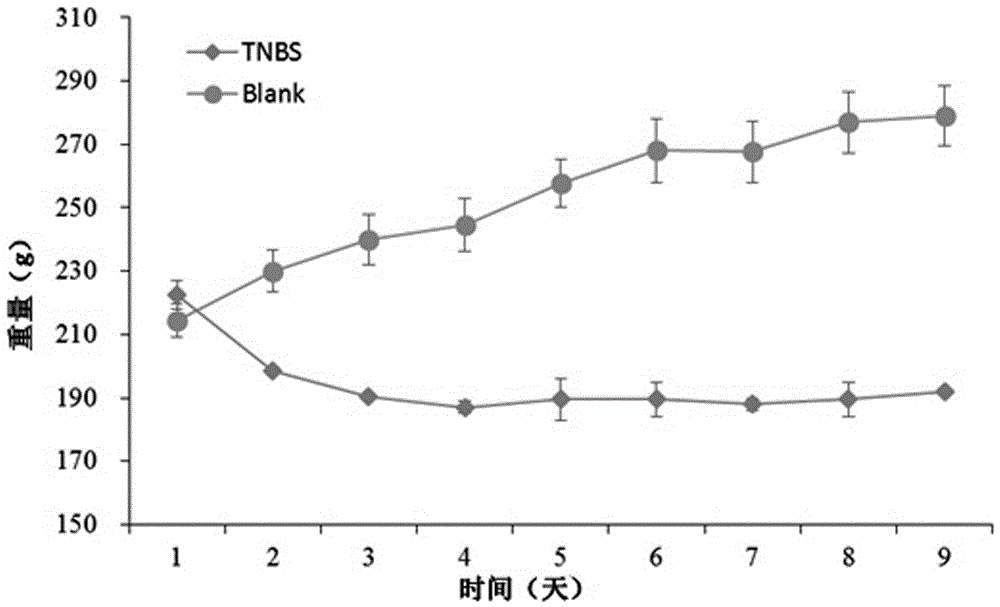 Improved SD (Sprague Dawley) rat CD (Crohn's Disease) modeling method