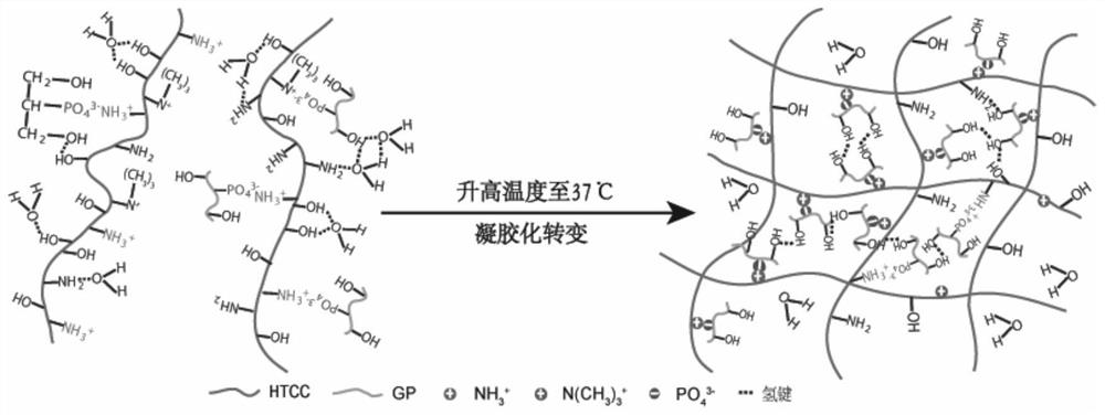 An in situ injectable temperature-sensitive response water-soluble chitosan composite hydrogel for lacrimal embolism, its preparation method and application