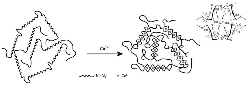 An in situ injectable temperature-sensitive response water-soluble chitosan composite hydrogel for lacrimal embolism, its preparation method and application