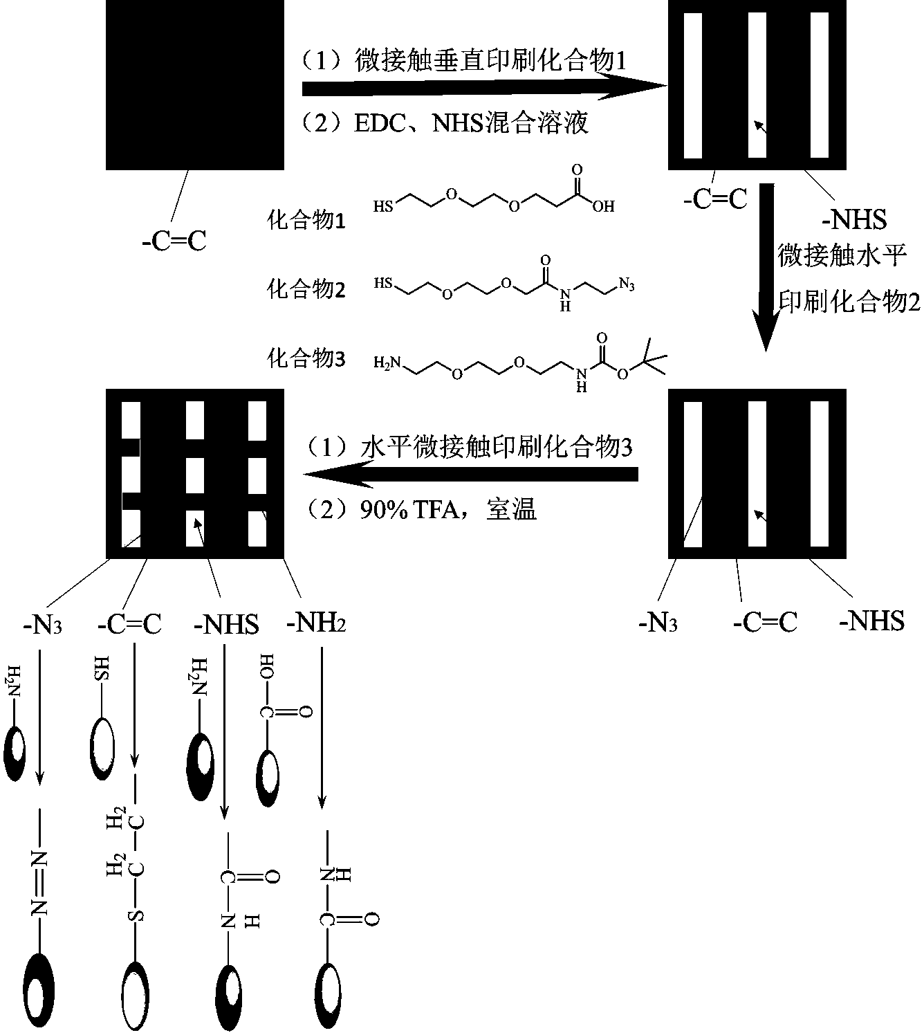 Surface modifying method for biological material