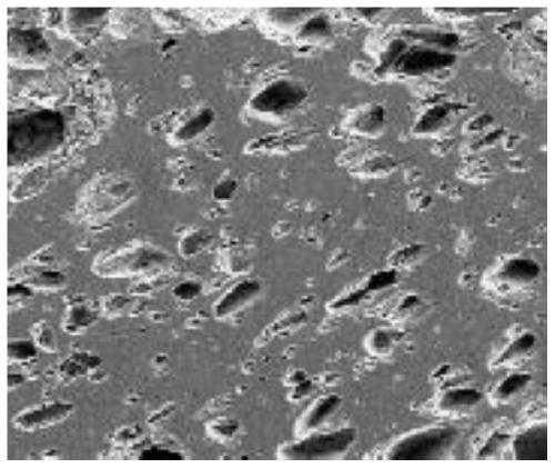 Preparation method of Ca-Mg-Al-Si porous microcrystalline glass