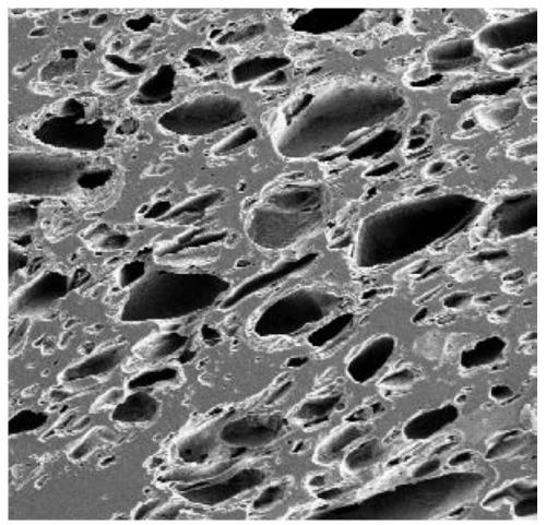 Preparation method of Ca-Mg-Al-Si porous microcrystalline glass