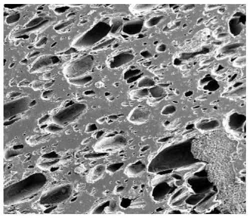 Preparation method of Ca-Mg-Al-Si porous microcrystalline glass