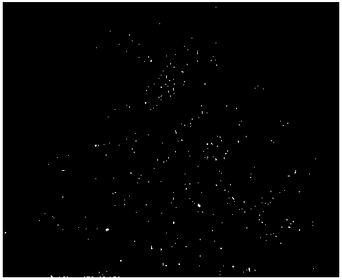 Waterproof and breathable electric appliance cavity structure and production method of waterproof and breathable film